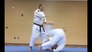 Nihon Goshin Aikido ~ If You've Ever Struggled with the Come Along Throw this Video May Help You.