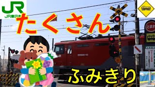 【踏切】警報灯沢山踏切　JR東北本線　Japan Railway crossing JR Tohoku LINE RAILWAY(Saitama japan)