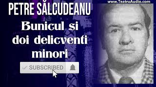 Bunicul si doi delincventi minori - Petre Salcudeanu #salcudeanu #petresalcudeanu #bunicul #carti