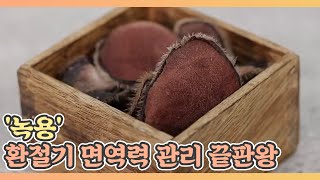 환절기 면역력 관리 끝판왕 '녹용' MBN 210409 방송