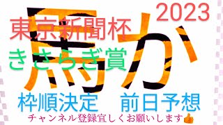 【東京新聞杯】【きさらぎ賞】2023前日予想‼️　#競馬予想 #競馬