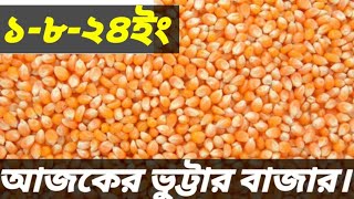 ১-৮-২৪ ইং আজকের ভুট্টার বাজার, today's maize price.