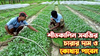 শীতের সবজির চারা উৎপাদনে ব্যস্ত যশোরের প্রান্তিক কৃষক । প্রকৃতি ও জনপথ