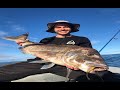 30 POUND SNAPPER Great barrier