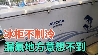 大冰柜不制冷客户着急直接送上门维修，第一次见这个地方漏氟的【胶东小王】