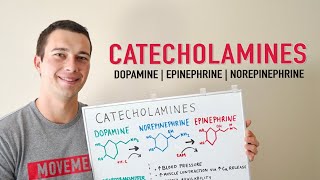 What are the Catecholamines? | Dopamine, Norepinephrine, Epinephrine | Physiology and Main Functions