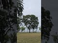 un paseo por la laguna de chascomÚs en imÁgenes shorts