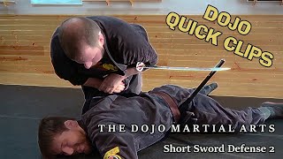 Short Sword Defense - Martial Arts Weapons - Quick Clip 2