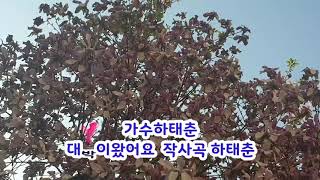 가수하태춘 대박이 왔어요 작사곡 하태춘/유진희뮤직