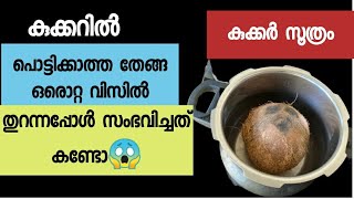 കുക്കറിൽ പൊട്ടിക്കാത്ത തേങ്ങ ഒരൊറ്റ വിസിൽ അടിച്ചു തുറന്നപ്പോൾ സംഭവിച്ചത്😱Tips and tricks