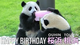 桜浜 桃浜 １歳のお誕生日会 Part2 of Happy 1st Birthday Baby Pandas