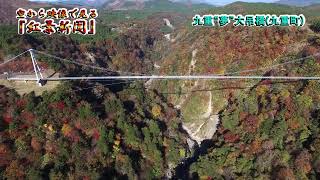 空から映像で見る紅葉新聞　九重“夢”大吊橋