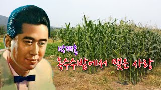 박재홍 -옥수수밭에서 맺은 사랑/영상출연 가수 안현주