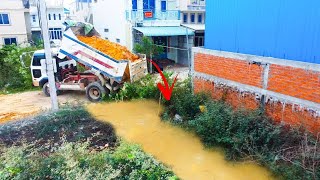 incredible Landfill Project!  push soil into water with Dump Truck 5Ton Unloading,