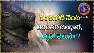 నందినోటి వెంట నిరంతర జలధార,ఎక్కడో తెలుసా ? SVBC TTD