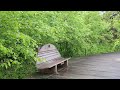 brooklyn naval cemetery landscape the neighborhood s best kept secret 4k walk