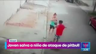 Pitbull ataca a niño en la calle, un joven lo salvó | Noticias con Yuriria Sierra