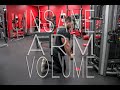 Insane Arm Volume Workout