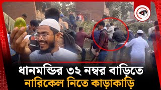 ধানমন্ডির ৩২ নম্বর  বাড়িতে নারিকেল নিতে কাড়াকাড়ি |] Danmondi 32 | Kalbela