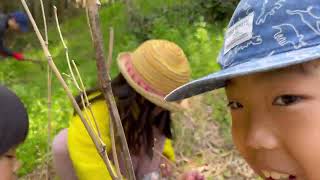 【竹の子掘り】山でたけのこ探し！いっぱい見つけて大満足