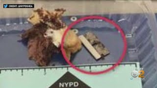 Razor Blade Found In NYPD Officer's Sandwich