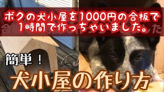 【犬小屋の作り方】安価な1000円合板で立派な犬のおうちを1時間DIYで自作する方法