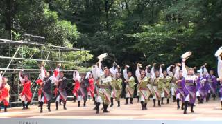 国士舞双さん（Ⅰ）＠2011　原宿スーパーよさこい