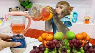 Funny animals 2023 | 🙈Smart Baby Monkey Bim Bim harvests fruit and makes fruit smoothies