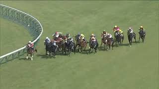 2022.04.10 Oka Sho (Japanese 1000 Guineas) - Stars on Earth