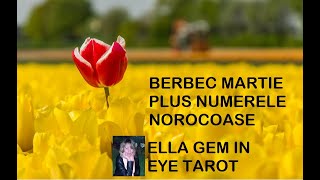 BERBEC MARTIE PLUS NUMERELE NOROCOASE