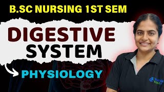 Digestive system Physiology | bsc nursing 1st sem golden batch | physiology bsc nursing 1st year