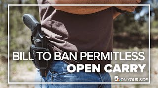 St. Louis alderwoman proposes permitless open-carry ban