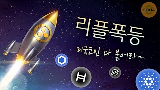 리플의 미친상승 어디까지... 헤데라 해시, 체인링크, 에이다도 함께 가자~