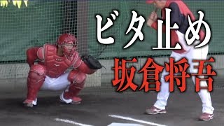 ビタドメ連発　中村奨成のライバル坂倉将吾のキャッチング【広島東洋カープ】