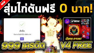 Blox Fruits แจกโค้ดฟรี! ไอดีเผ่า V4 T10 ผลมังกรถาวร!🔥🐲 (รีบดูก่อนหมดเขต💯)