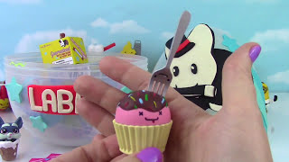 Kidrobot Blind Box Show! Labbit Play Doh Surprise Egg! BFFS!