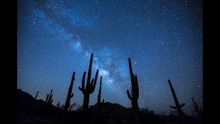 Sounds of the Desert | Night Time Desert Ambience | Sleep \u0026 Relax