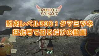 討究レベル300タマミツネ・狂化弓・凡人ハンター【ウツシ字幕】【モンハンライズサンブレイク】