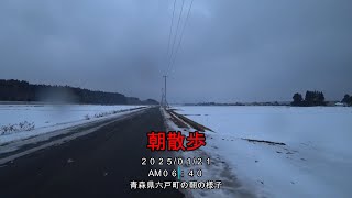 変わらない一日の始まりです。「朝散歩」【えびてつチャンネル】