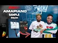 🌴[FREE]🌴Amapiano Sample Pack 📿🛖 | Kelvin Momo  