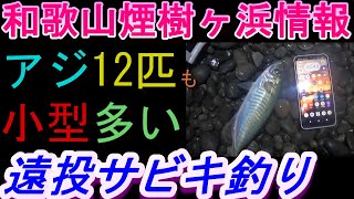 03-07　煙樹ケ浜釣り情報・実釣編