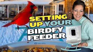 QUICKLY Assemble and Set Up Your Birdfy Feeder: Easy Step-by-Step HOW TO Guide #birdfy #birdfeeder