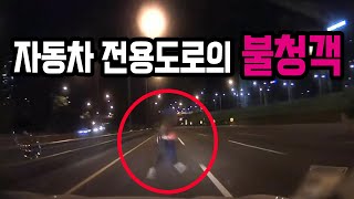 10183회. 자동차 전용도로에 두 사람이 탄 전동 킥보드가?! 갑자기 튀어나온 술 취한 사람까지..