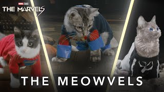 The Meowvels | Now Playing In Theaters