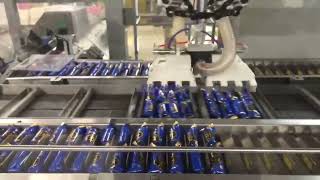 High-Speed Pouch-to-Box Food Packaging Cartoner | SieracTech