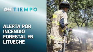 Senapred de O'Higgins por incendios forestales: \