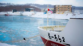 知床半島　流氷ダイビング