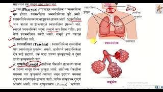 11.मानवी शरीर व इंद्रिय संस्था आठवी विज्ञान Part 1 Manavi sharir v indriya sanstha  class 8th