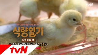 fooddiary 병아리...좋아하세요? 180530 EP.1