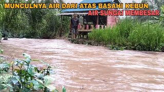 MUNCULNYA AIR BAWA BERKAH, BASAHI KEBUN || AIR SUNGAI MEMBESAR